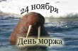 Всемирный день моржа